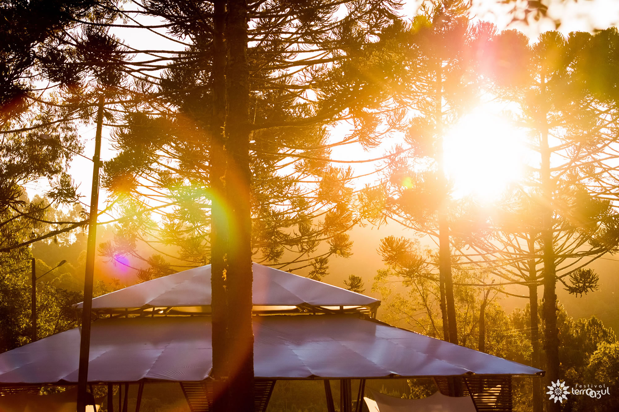 Foto - Senff & Marchesine