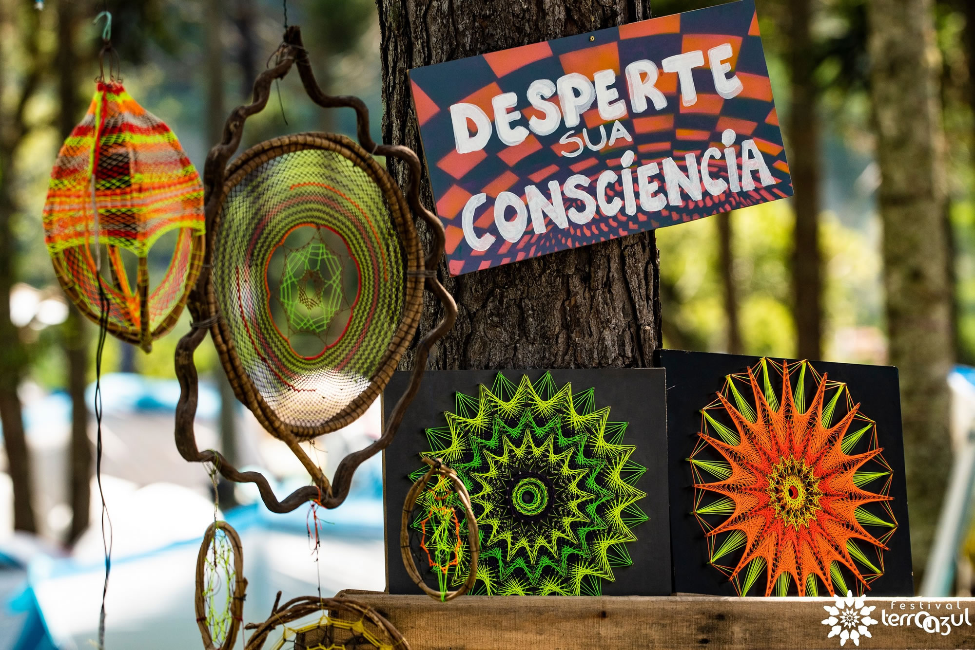 Foto por: Rodrigo Della Fávera e Ana Quesado