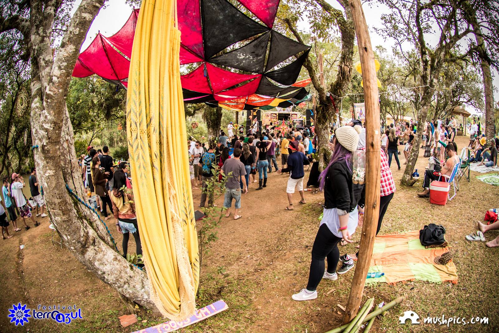 Mushpics Fotografia #3 