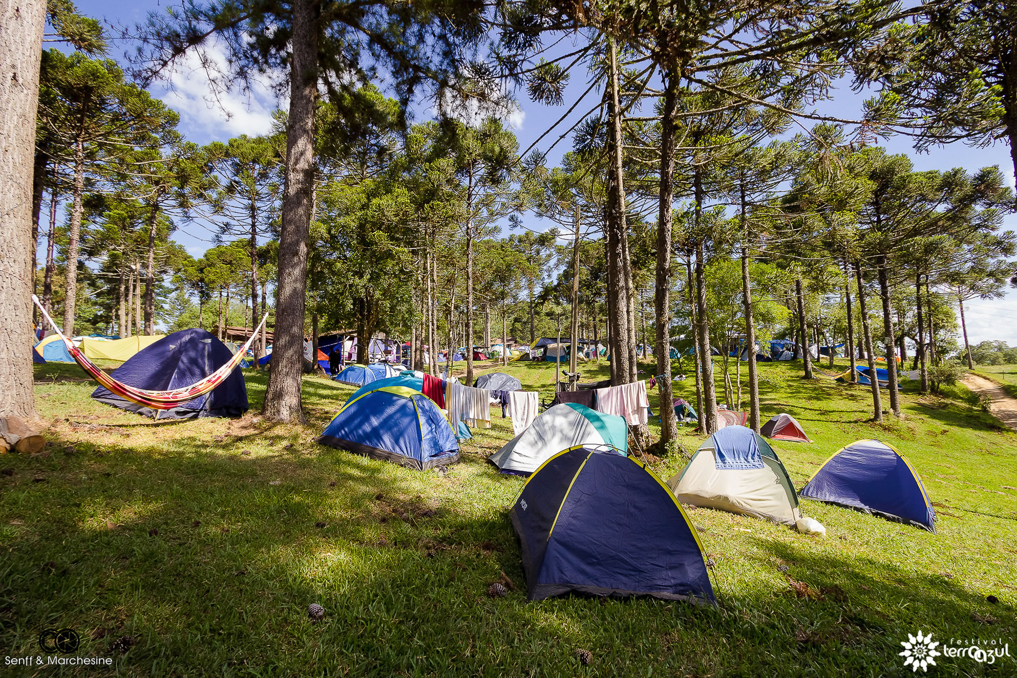 Foto por: Senff & Marchesine