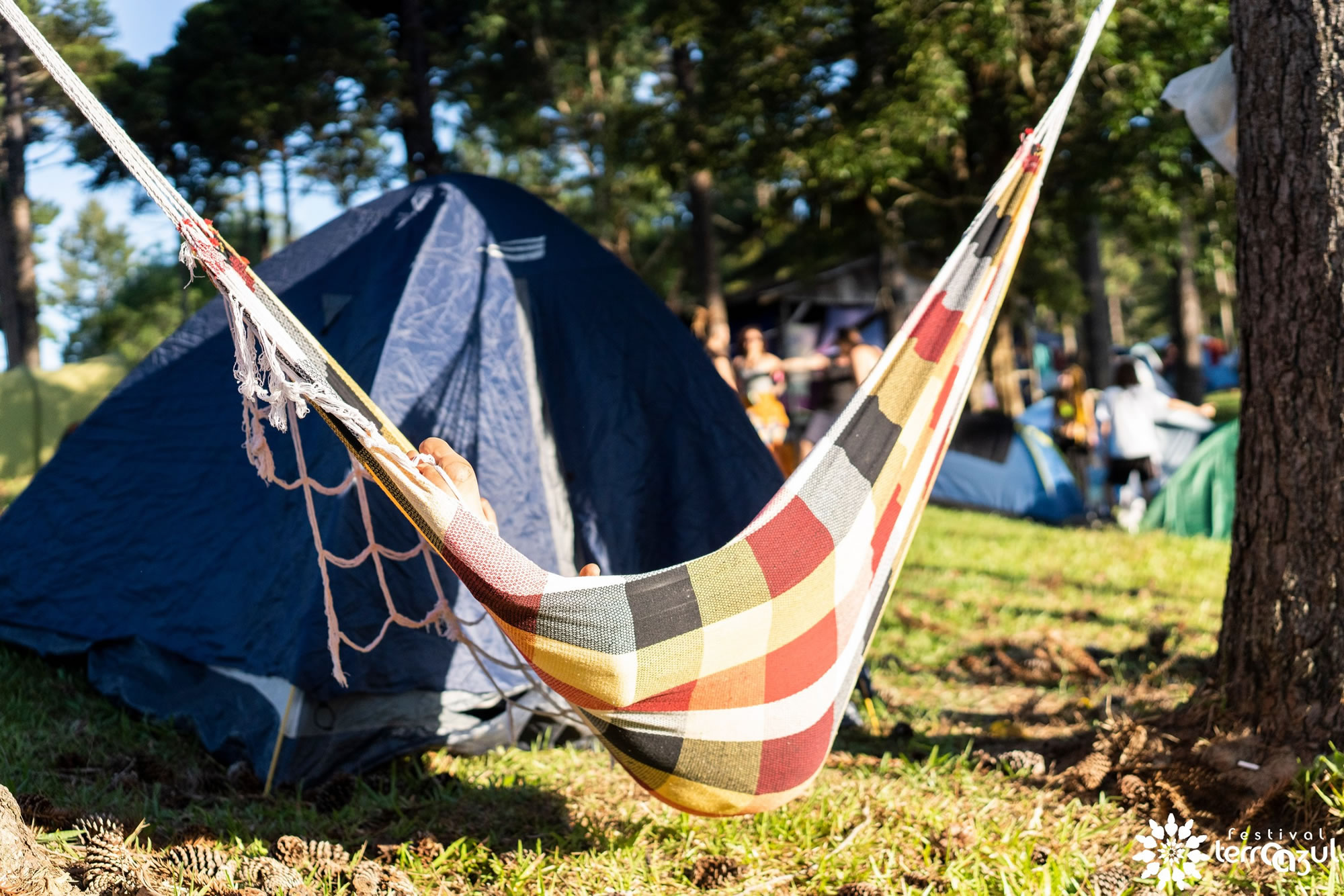 Rodrigo e Ana (72).jpg