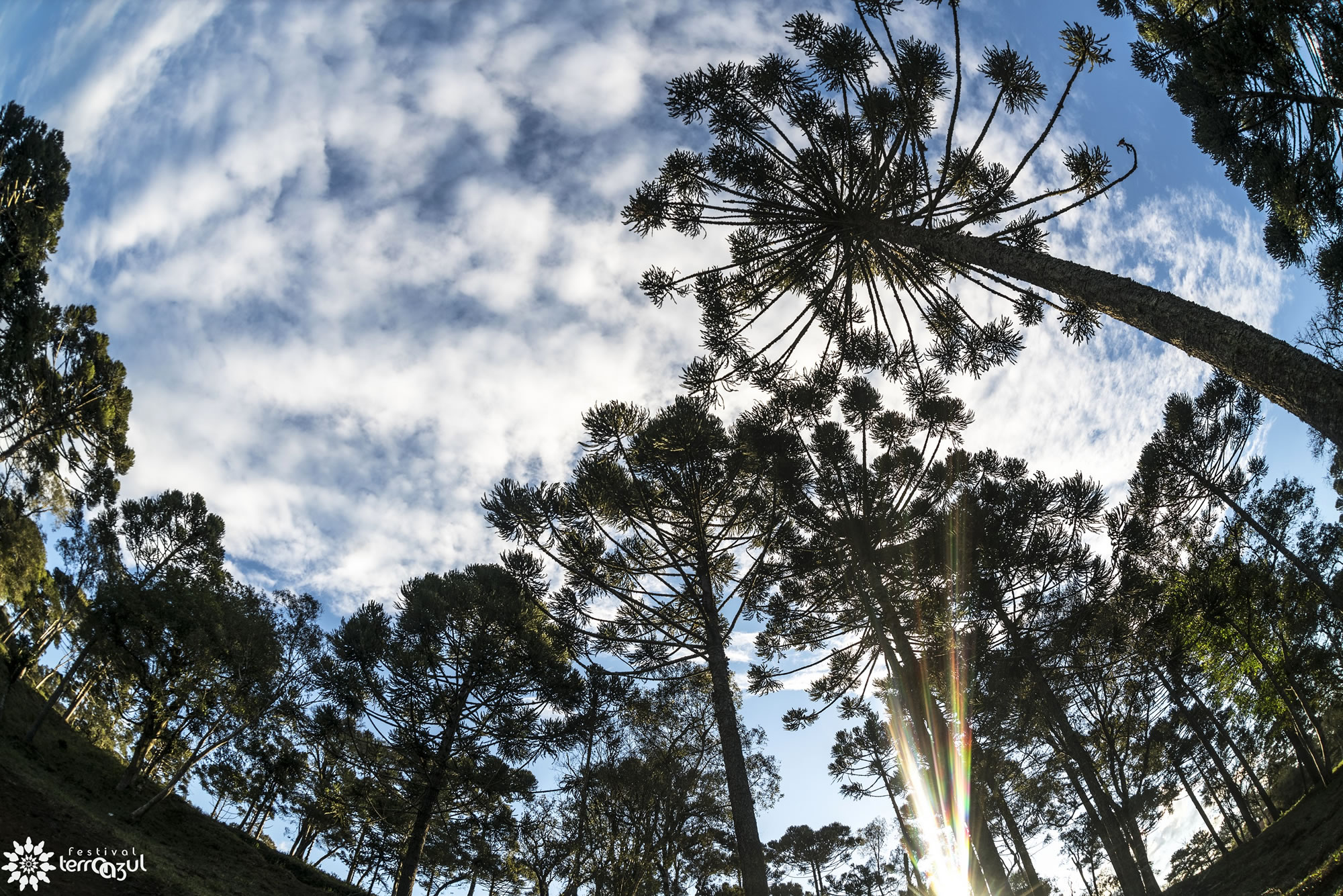 Foto - Rodrigo Della Fávera 