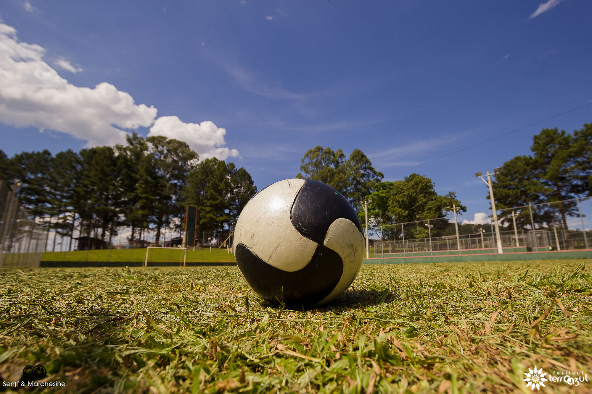 Foto: Senff & Marchesine 