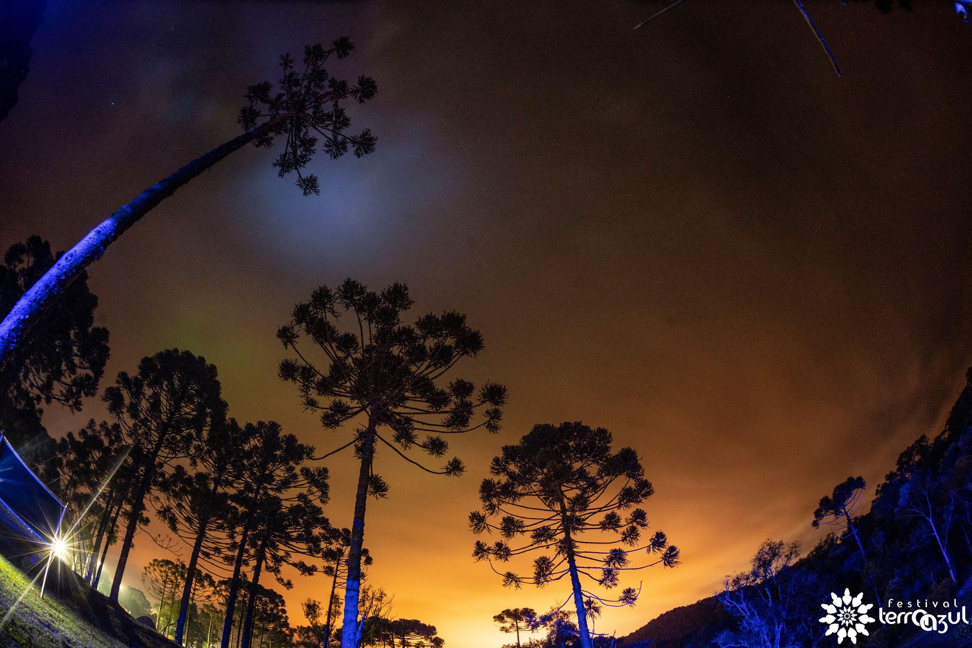 Foto - Rodrigo Della Fávera e Ana Quesado