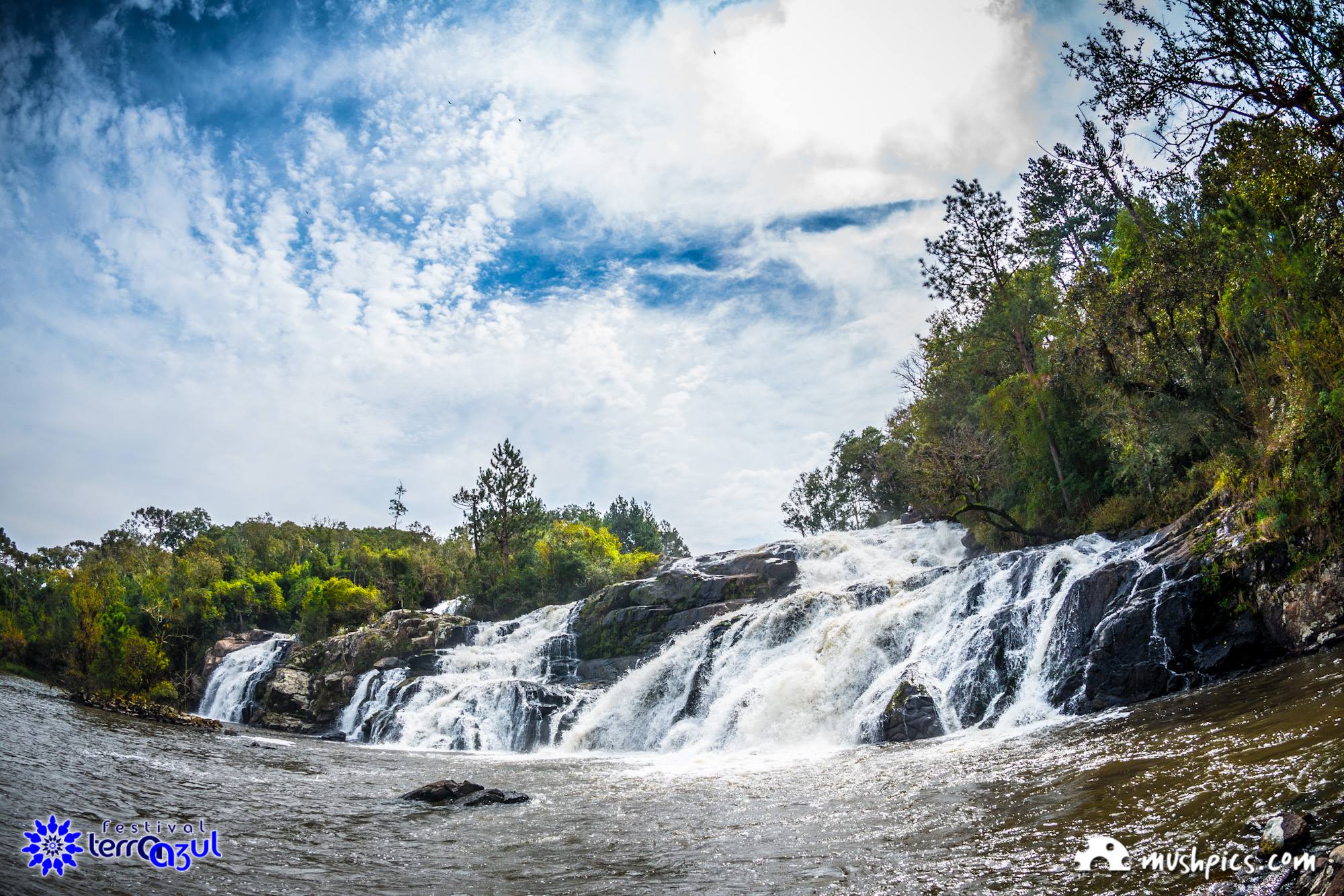 Mushpics Fotografia #3 (88).jpg