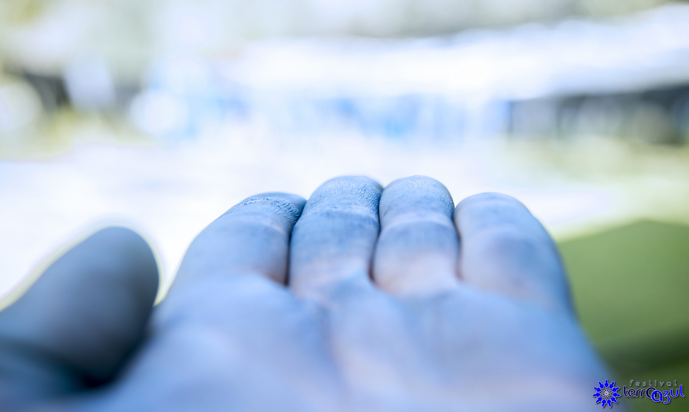 Foto por : Rodrigo Della Fávera