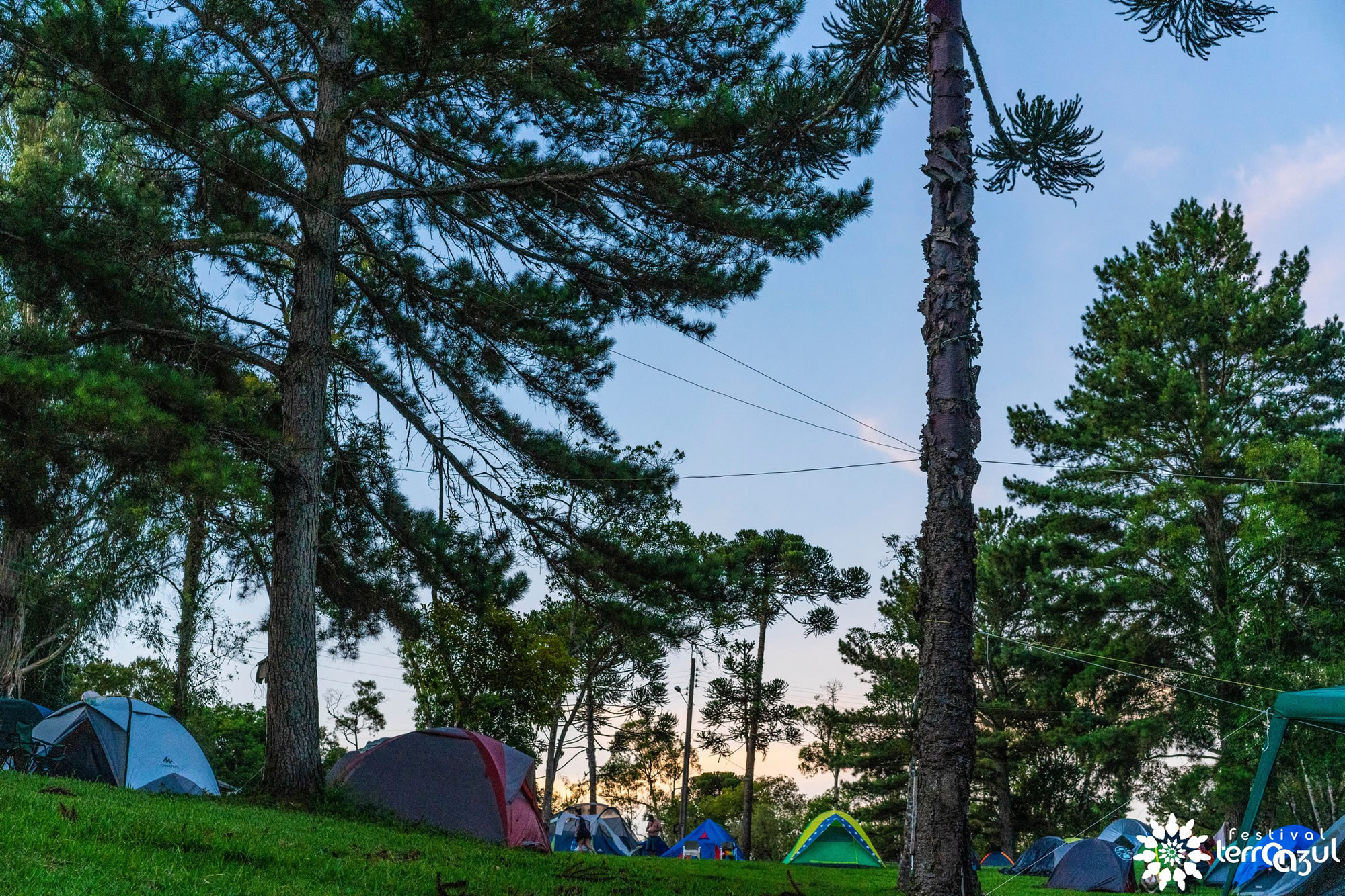 Foto por:Rodrigo Della Fávera e Ana Quesado